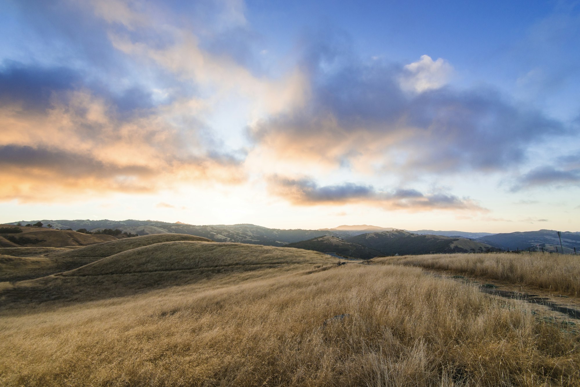 Golden rolling hills of Amador County at sunset